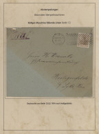 Deutsches Reich - Germania: 1900-1922, Germania-Ausgaben, Spezialsammlung Von Ma - Colecciones