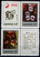Yugoslavia 1990 Solidarity Red Cross Earthquake Skopje Flora Flowers Tax Surcharge Charity Postage Due Set Block 4 MNH - Postage Due