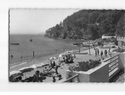 LE RAYOL : La Plage - Très Bon état - Rayol-Canadel-sur-Mer