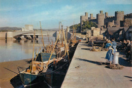 United Kingdom Wales Caernarvonshire Conway Castle And New Bridge - Caernarvonshire