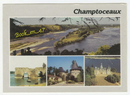 {90765} 49 Maine Et Loire Champtoceaux , Multivues ; Panorama De La Ville - Champtoceaux