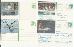 DOLPHINS & WHALES - 4 Diff Postal STATIONERY Cards Germany Card Cover Dolphin Whale Stamps - Delfini