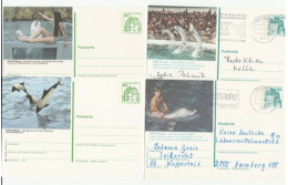 DOLPHINS & WHALES - 4 Diff Postal STATIONERY Cards Germany Card Cover Dolphin Whale Stamps - Dolphins
