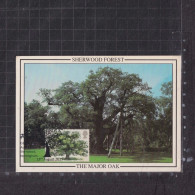 [Carte Maximum / Maximum Card /  Maximumkarte] Great Britain 1973 | Tree, Oak - Postmark With 2019 Special Postmarking - Maximum Cards