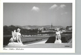 AK - Wien - Schloss Belvedere - Gartenansicht - Ca. 1980 - 10x15cm - #1188# - Belvédère