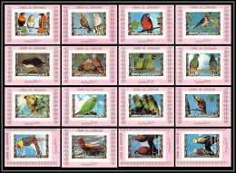 0054/ Umm Al Qiwain Deluxe Blocs ** MNH Michel N° 1242 / 1257 Parrots And Finches Oiseaux (birds) Rose Non Dentelé - Parrots