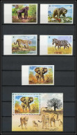 0170/ Umm Al Qiwain ** MNH Michel N° 478/482 B Bloc 34 Animaux Wild Animals Gorille éléphant Ours Non Dentelé Imperf - Gorilles