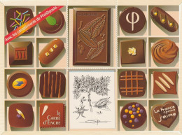 France - 2009 - Le Chocolat - La France Comme J'aime - Avec Les Compliments De Phil@poste.. - Storia Postale