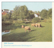 SHEEP 1975 Germany Postal STATIONERY Card  Cover Stamps - Ferme
