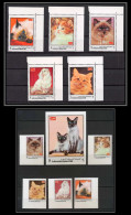 Yemen Royaume (kingdom) - 4008kk N°997/1001 A+B + Bloc 201 - 1970 Chats Chat Cat Cats ** MNH - Yémen