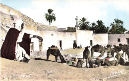 ALGÉRIE - Scènes & Types - Chameaux Au Repos - Carte Postale Ancienne - Escenas & Tipos