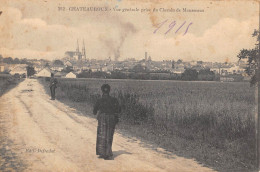 CPA 36 CHATEAUROUX / VUE GENERALE PRISE DU CHEMIN DE MAUSSEAUX - Chateauroux