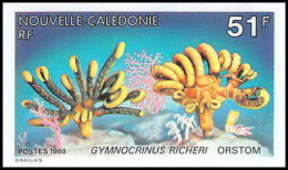 91769b Nouvelle-Calédonie N° 557 Crinoide Gymnocrinus Animaux Marins Sea Animals Non Dentelé Imperf ** MNH - Non Dentellati, Prove E Varietà