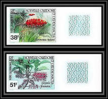 91770e Nouvelle-Calédonie 210/211 Brosse à Dent Geissois Pruinosa Fleur Flower Non Dentelé ** MNH (Imperforate) - Non Dentellati, Prove E Varietà