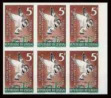 91812c Sénégal N° 309 Martin-pêcheur (kingfisher) Oiseaux Bird Oiseau Non Dentelé Imperf ** MNH Bloc 6 - Pics & Grimpeurs