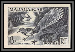 91977b Madagascar N°323 Oiseaux Bird Uratelornis Brachyptérolle à Longue Queue Essai Proof Non Dentelé Imperf ** Mnh - Neufs