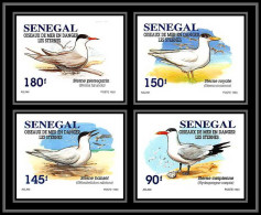 92732b Sénégal N°1153/1156 Sterne Oiseaux De Mer Seabird Birds Tern Non Dentelé ** MNH Imperf - Meeuwen