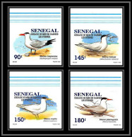 92732c Sénégal N°1153/1156 Sterne Oiseaux De Mer Seabird Birds Tern Non Dentelé ** MNH Imperf - Collections, Lots & Series