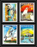 92747b Sénégal N°1108/1111 Kalissaye Oiseaux Birds 1994 Héron Sterne Pelican Aigrette Terns Non Dentelé ** MNH Imperf  - Verzamelingen, Voorwerpen & Reeksen