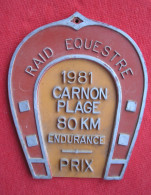 PLAQUE RAID EQUESTRE 1981 - CARNON PLAGE 80 KM ENDURANCE - Equitazione