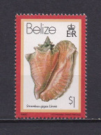 BELIZE 1981 TIMBRE N°468 NEUF** COQUILLAGES - Belize (1973-...)