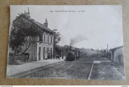 MALICORNE - La Gare - Train Vapeur ( 72 Sarthe ) - Malicorne Sur Sarthe