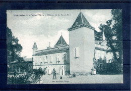 31. Montastruc La Conseillere. Château De La Conseillere - Montastruc-la-Conseillère