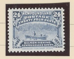 TERRE-NEUVE -N°58 - 24 Cent  OUTREMER  - N SG - 1897 - 1865-1902