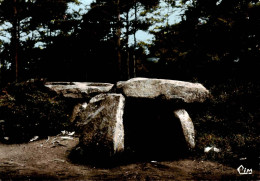 Pontigné     49      Le   Dolmen    10x15  (voir Scan) - Autres & Non Classés