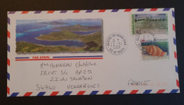 Polynésie,  Lettre Pour La France. - Storia Postale