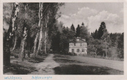 0-6056 SCHLEUSINGEN, Waldhaus, 1955 - Schleusingen