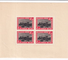 Congo Belga Hb 1 - Blocks & Sheetlets