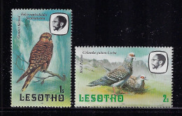 Delcampe - LESOTHO 1981  SCOTT #321,322  MNH - Lesotho (1966-...)