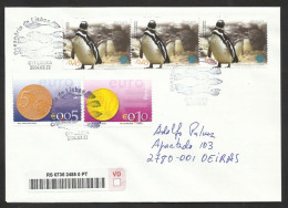 Portugal Manchot Du Cap Pingouin Oceanarium De Lisbonne FDC Recommandée 2004 Black-footed Penguin Registered FDC - Pingueinos