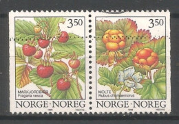 Norway 1996 Berries Pair Y.T. 1161a (0) - Used Stamps