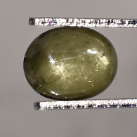 Saphir Vert Traité (BE) De Thaïlande - Cabochon 1.83 Carat - 8.2 X 6.3 X 3.3 Mm - Saphir