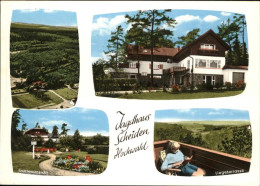 41254478 Scheiden Pension Jagdhaus Gartenansicht Liegerterrasse Losheim - Losheim