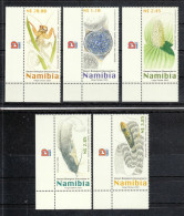 Namibia 2003**, Biol. Entdeckungen, Sukkulente Whiteheadia / Namibia 2003, MNH, Biol. Discoveries, Succulent Whiteheadia - Sukkulenten