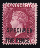 St.Vincent. 1893 Y&T. 42, MH. [SPECIMEN.] - St.Vincent (...-1979)