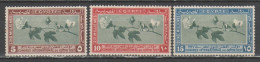 Egitto 1927 - Congresso Cotone *          (g9525) - Nuovi