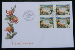 Åland FDC 2005 Machine Stamps Cloudberries, ATM Labels, MiNo 16 - Berry - Aland