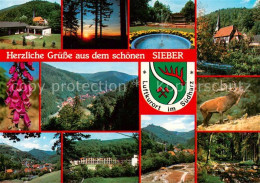 73839958 Sieber Herzberg Am Harz Panorama Teilansichten Brunnen Kirche Hirsch   - Herzberg