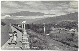 Postcard - Argentina, Jujuy, José M. Fasio Avenue, N°554 - Argentine