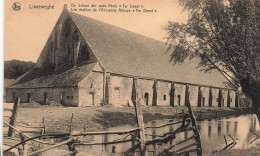 BELGIQUE - Lisseweghe - Les étables De L'Ancienne Abbaye "Ter Doest" - Carte Postale Ancienne - Otros & Sin Clasificación