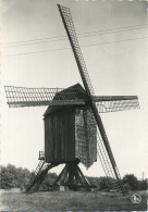 Gijmel - Langdorp   :  Windmolen   ( Groot Formaat 15 X 10.5 Cm )    Met Zegel - Aarschot