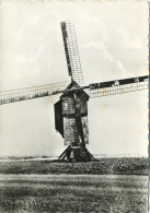 Mater    :  Windmolen   ( Groot Formaat 15 X 10.5 Cm ) - Oudenaarde