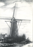 Lovendegem     :  Windmolen   ( Groot Formaat 15 X 10.5 Cm ) - Lovendegem