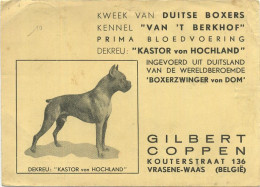 Vrasene  : Hond Duitse Boxers : Dekreu ( Wereldberoemde Boxerzwinger VON DOM    ( Groot Formaat 15 X 10.5 Cm ) Met Zegel - Beveren-Waas