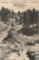 FRANCE - Mont Pilat - Chemin Conduisant Du Grand Hôtel à La Ferme De La Jasserie - Carte Postale Ancienne - Mont Pilat