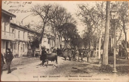 Cpa 24 EYMET, Animée ; Jour De Marché Foire Aux Bestiaux,Les Grandes Promenades, éd Guillier, écrite En 1903 - Eymet